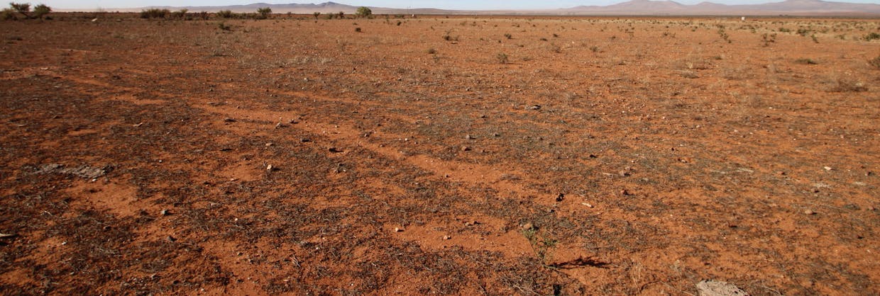 Lot 173 Bencic Road, Orroroo, SA, 5431 - Image 3