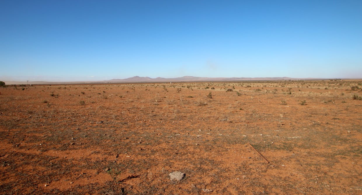 Lot 173 Bencic Road, Orroroo, SA, 5431 - Image 5