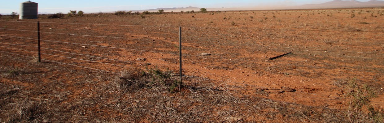 Lot 173 Bencic Road, Orroroo, SA, 5431 - Image 7