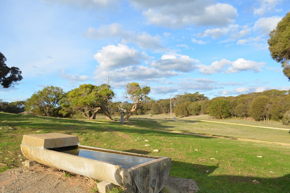 6765 Southern Ports Highway, Bray, SA, 5276 - Image 17
