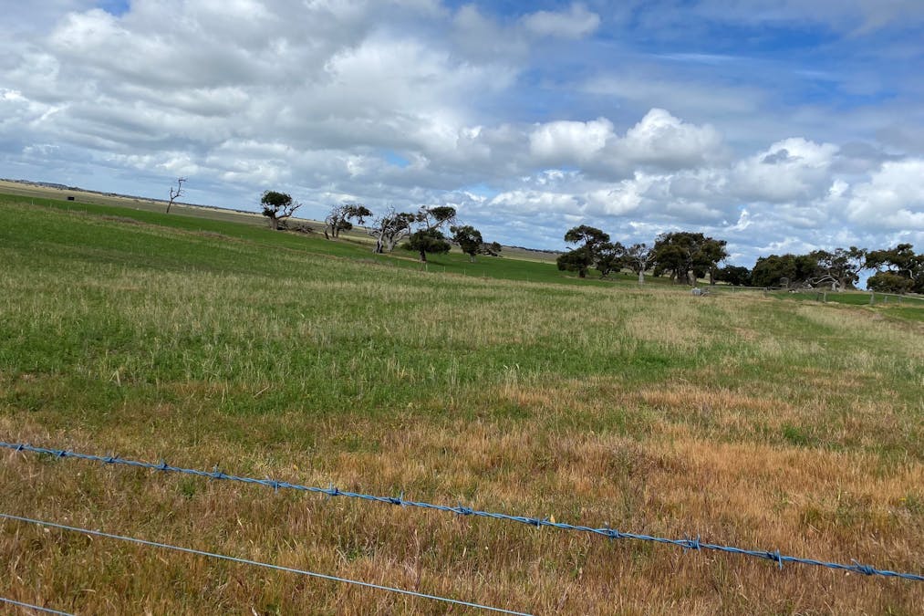 6765 Southern Ports Highway, Bray, SA, 5276 - Image 4