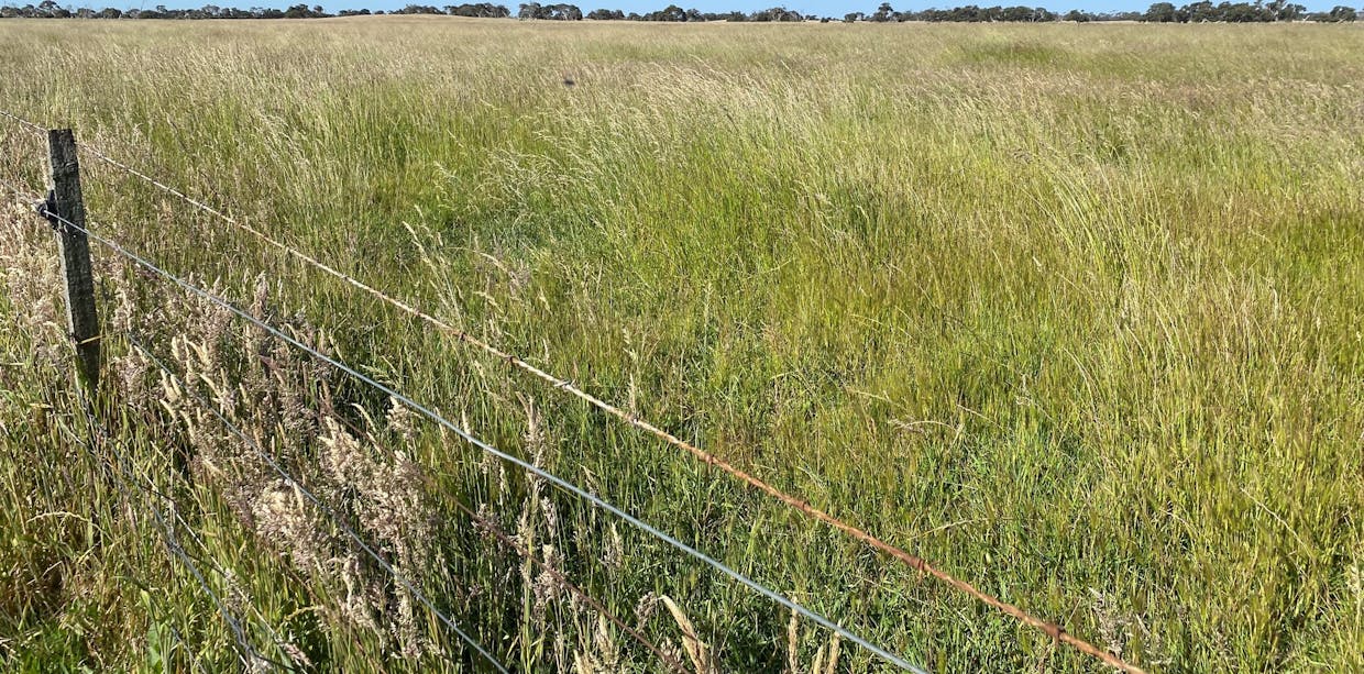 6765 Southern Ports Highway, Bray, SA, 5276 - Image 19