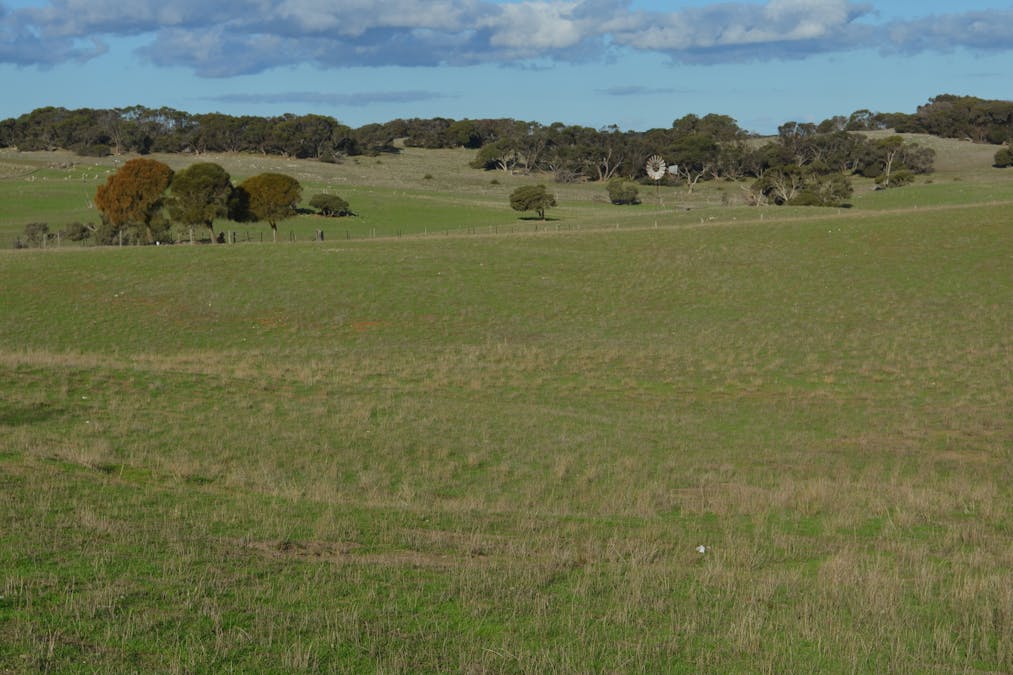 6765 Southern Ports Highway, Bray, SA, 5276 - Image 20