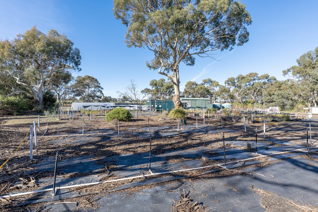 60 Nhill Road, Dimboola, VIC, 3414 - Image 16