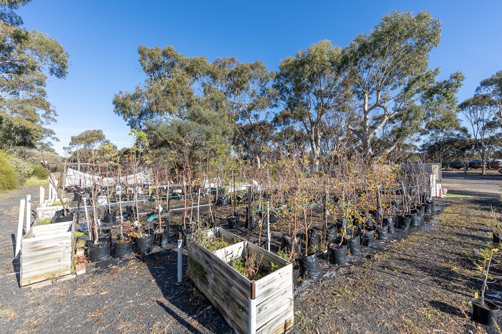 60 Nhill Road, Dimboola, VIC, 3414 - Image 13