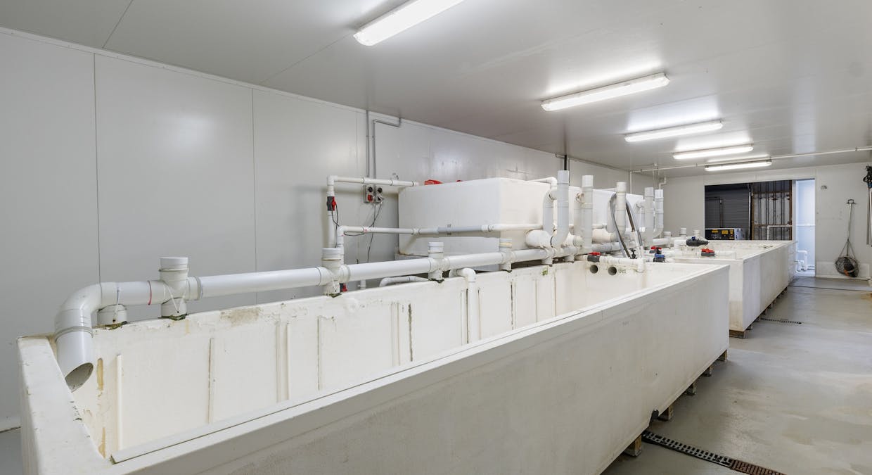 48 Kohinoor Road, Kingscote, SA, 5223 - Image 8