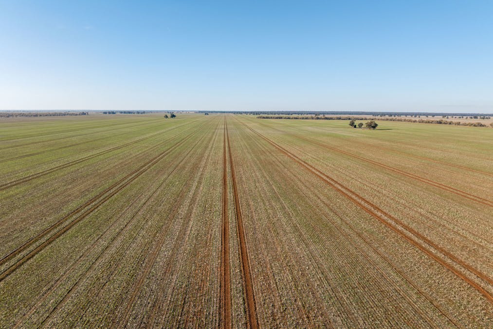 609 Barragunda Road, Urana, NSW, 2645 - Image 7