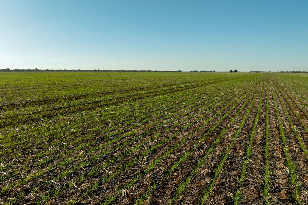 609 Barragunda Road, Urana, NSW, 2645 - Image 6