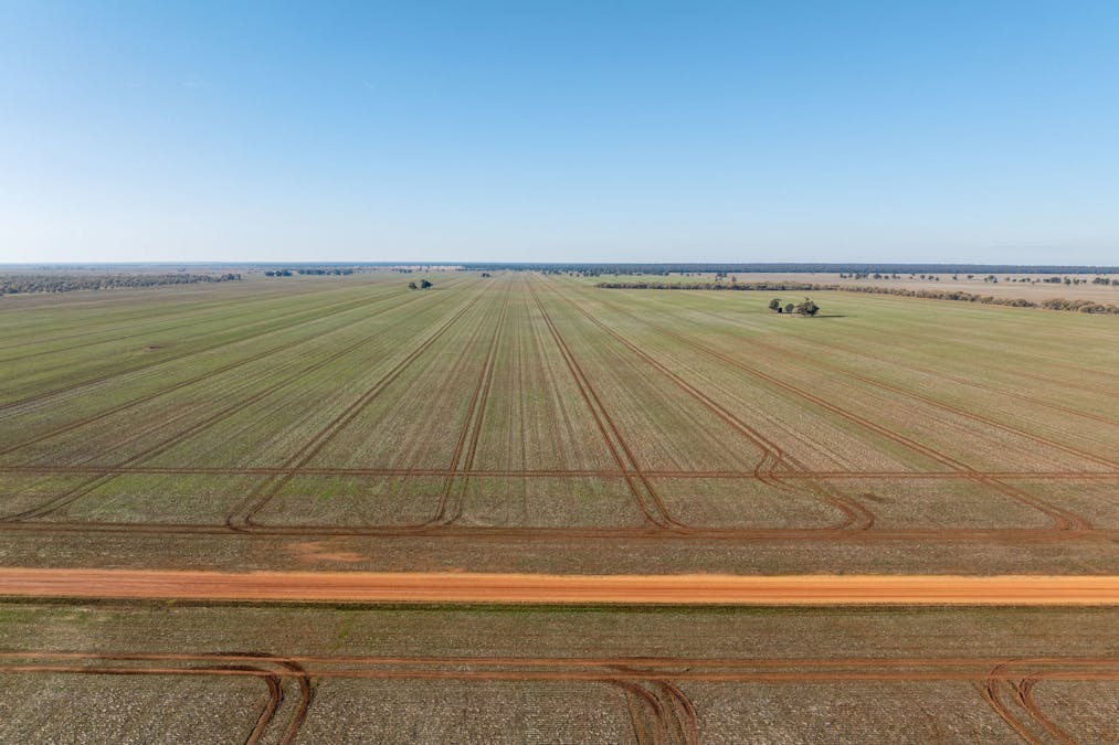 609 Barragunda Road, Urana, NSW, 2645 - Image 9