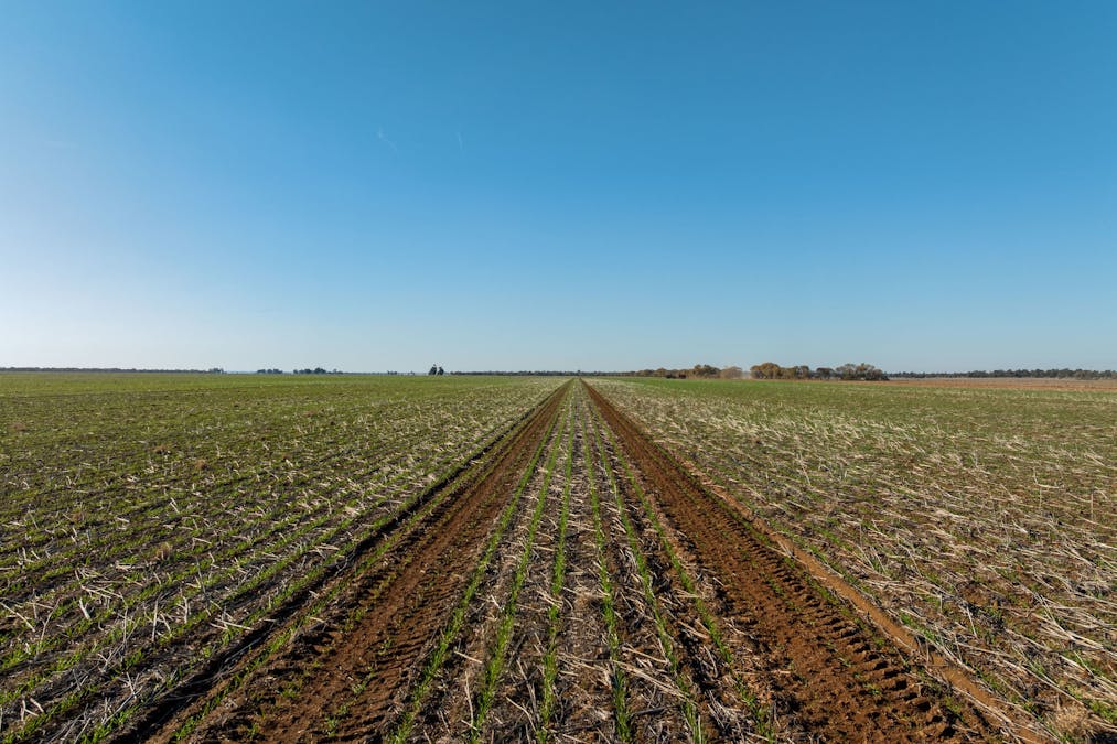 609 Barragunda Road, Urana, NSW, 2645 - Image 3