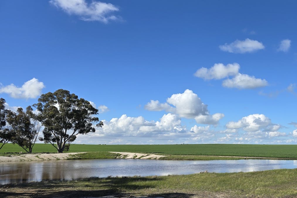Nyabing, WA, 6341 - Image 14