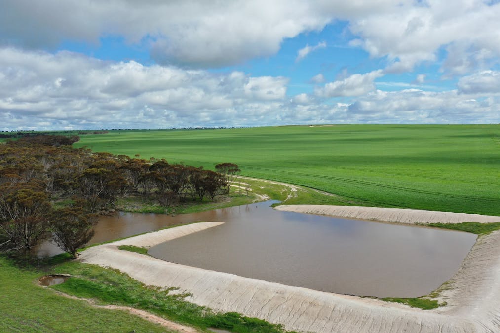 Nyabing, WA, 6341 - Image 9