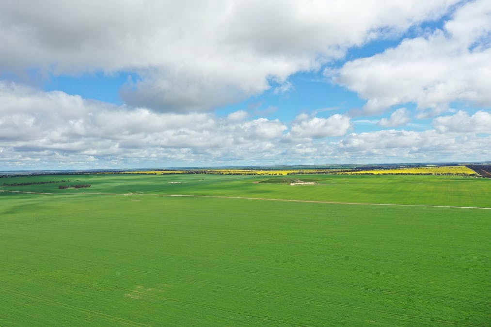 Nyabing, WA, 6341 - Image 18