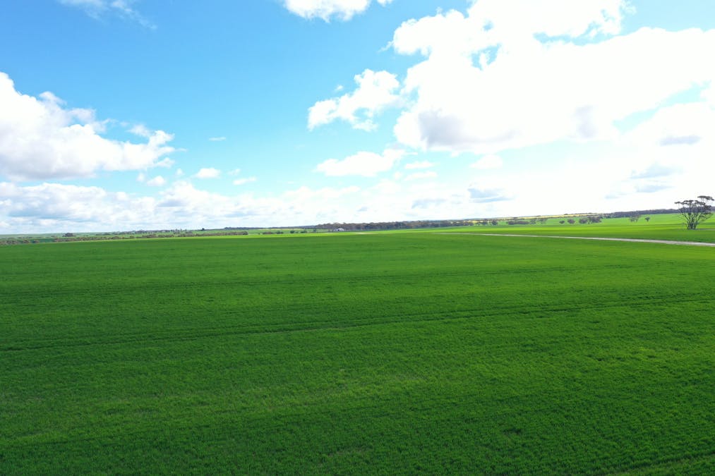 Nyabing, WA, 6341 - Image 19