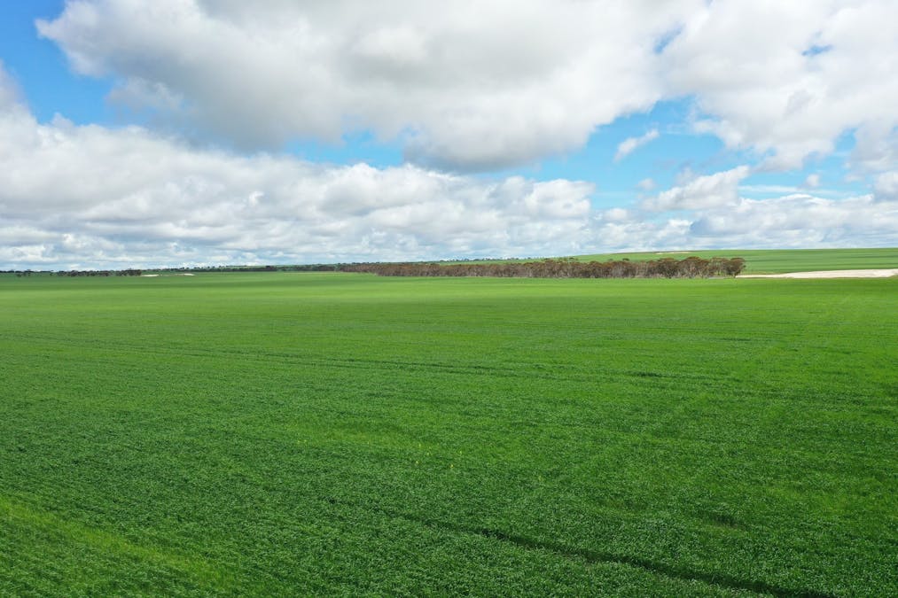 Nyabing, WA, 6341 - Image 20