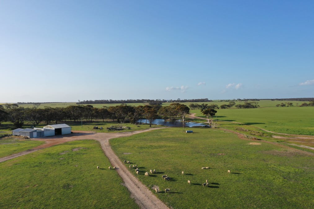 Nyabing, WA, 6341 - Image 5