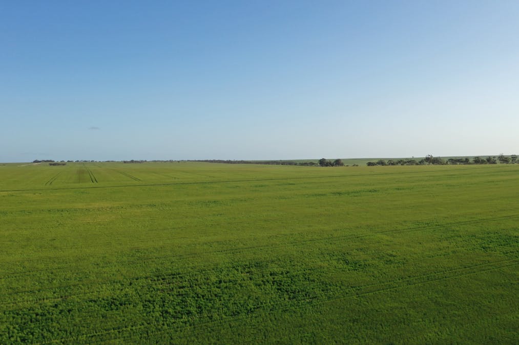 Nyabing, WA, 6341 - Image 22
