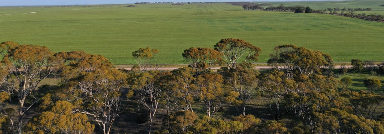 Nyabing, WA, 6341 - Image 26