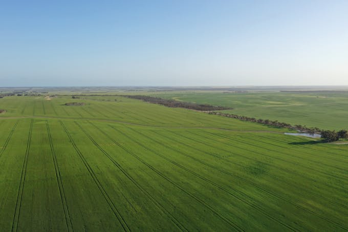 Nyabing, WA, 6341 - Image 1
