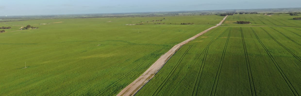 Nyabing, WA, 6341 - Image 3