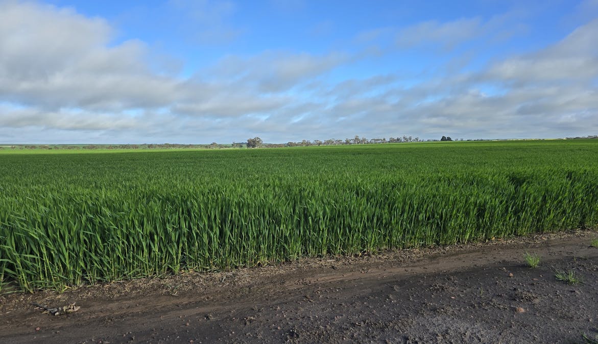 Nyabing, WA, 6341 - Image 13