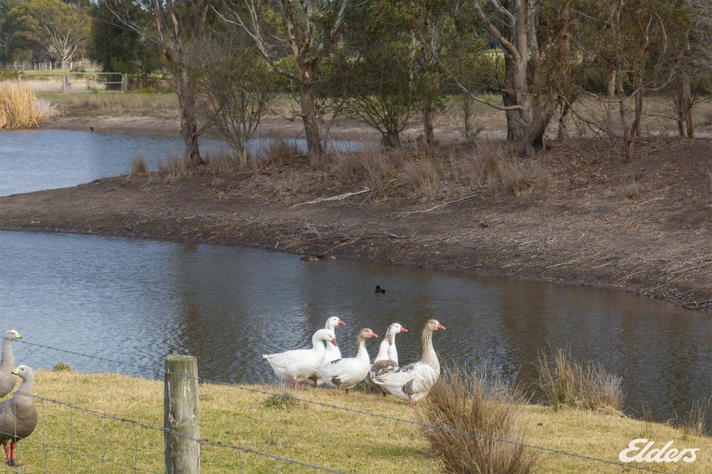 1050 Derril Road, Moorooduc, VIC, 3933 - Image 10
