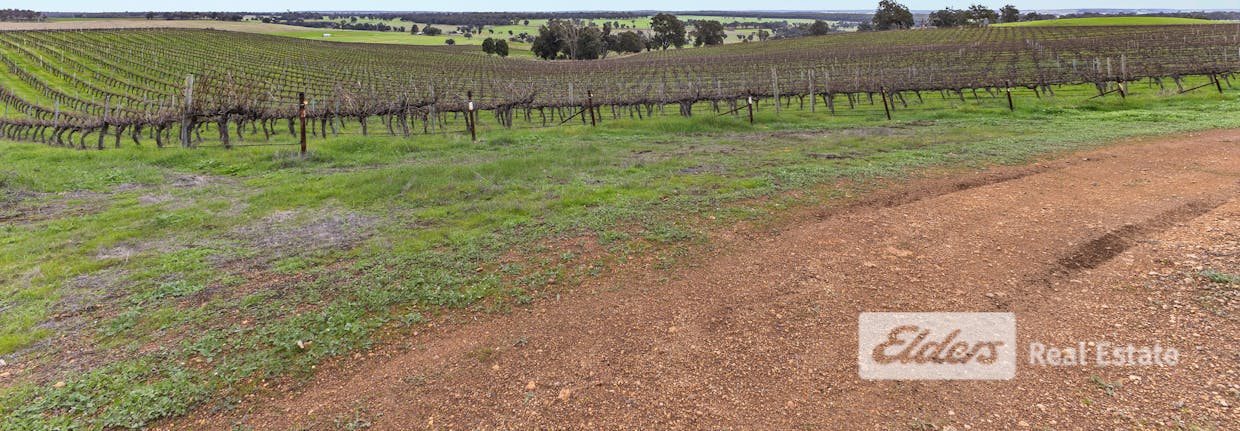 Lot 226 &/248 Wagner Road, Scotts Brook, WA, 6244 - Image 11