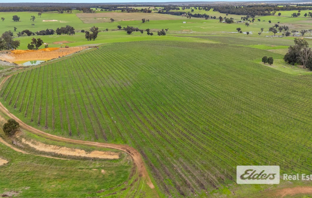 Lot 226 &/248 Wagner Road, Scotts Brook, WA, 6244 - Image 6