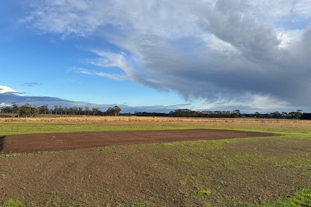 Cobden-Port Campbell Road, Cobden, VIC, 3266 - Image 4