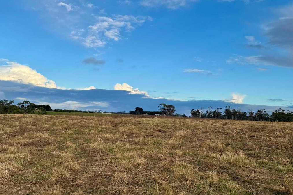 Cobden-Port Campbell Road, Cobden, VIC, 3266 - Image 6