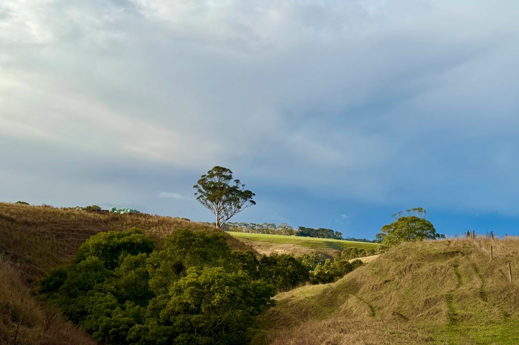 Cobden-Port Campbell Road, Cobden, VIC, 3266 - Image 5