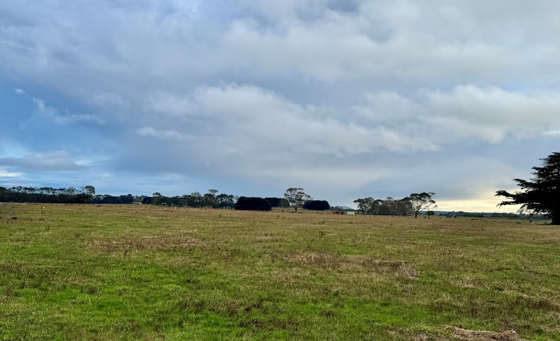 Cobden-Port Campbell Road, Cobden, VIC, 3266 - Image 1