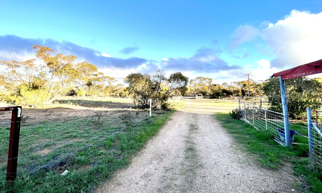 115 Gawler Ranges Road, Wirrulla, SA, 5661 - Image 21