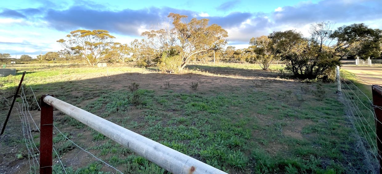 115 Gawler Ranges Road, Wirrulla, SA, 5661 - Image 22
