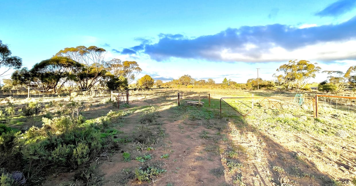 115 Gawler Ranges Road, Wirrulla, SA, 5661 - Image 23
