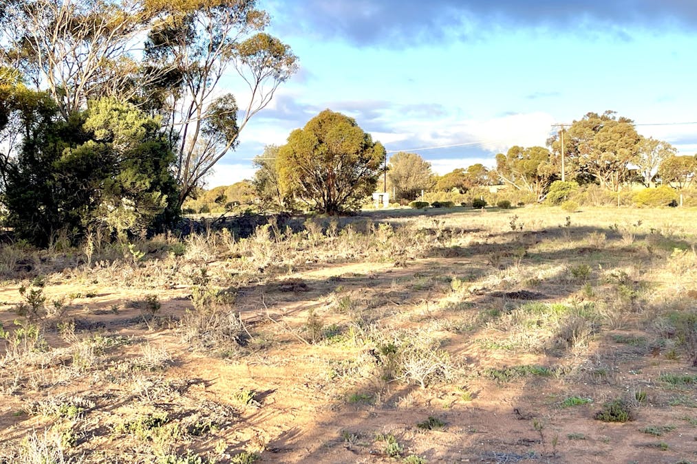 115 Gawler Ranges Road, Wirrulla, SA, 5661 - Image 24