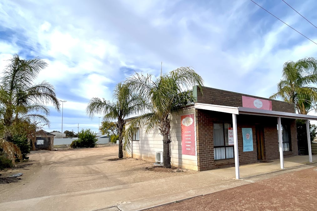 53 Ballantyne Street, Wudinna, SA, 5652 - Image 1