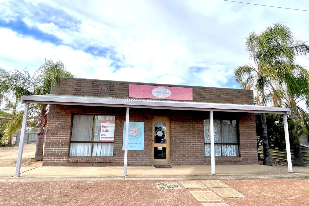 53 Ballantyne Street, Wudinna, SA, 5652 - Image 4