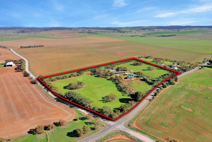 1013 Julia Road, Ngapala, SA, 5374 - Image 1
