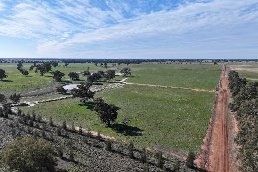 Berrigan Oaklands Road, Berrigan, NSW, 2712 - Image 8