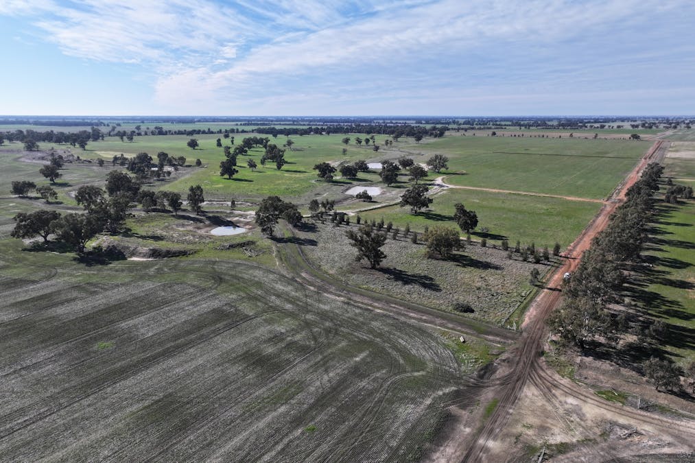 Berrigan Oaklands Road, Berrigan, NSW, 2712 - Image 10