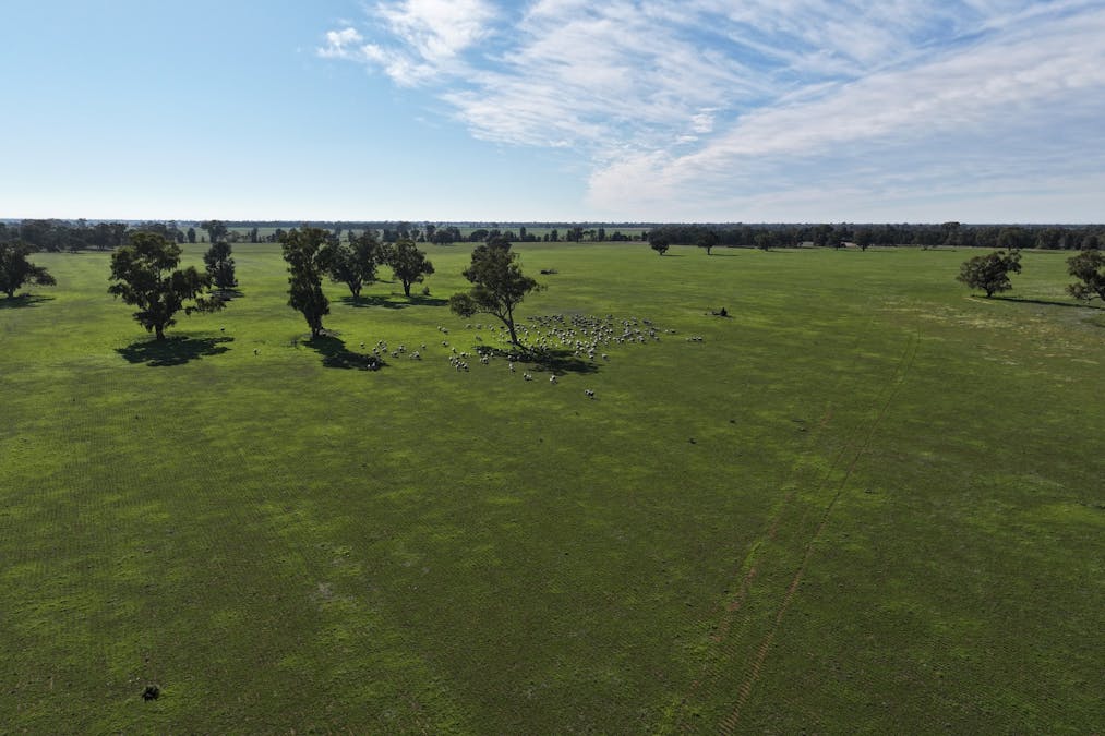 Berrigan Oaklands Road, Berrigan, NSW, 2712 - Image 11