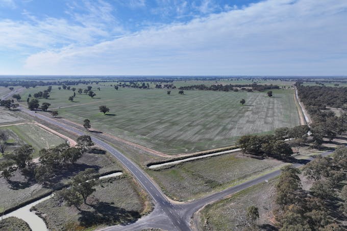 Berrigan Oaklands Road, Berrigan, NSW, 2712 - Image 1