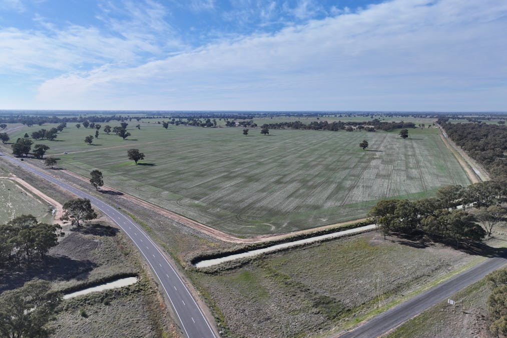 Berrigan Oaklands Road, Berrigan, NSW, 2712 - Image 13