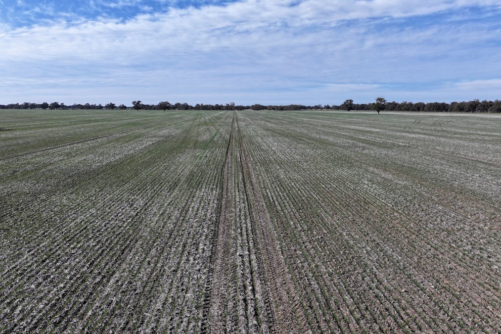 Berrigan Oaklands Road, Berrigan, NSW, 2712 - Image 14