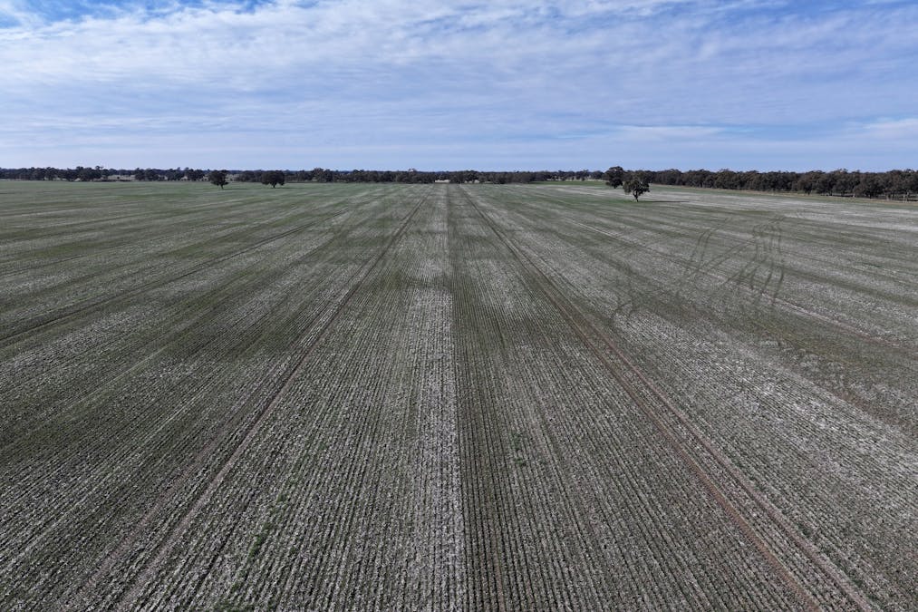 Berrigan Oaklands Road, Berrigan, NSW, 2712 - Image 15