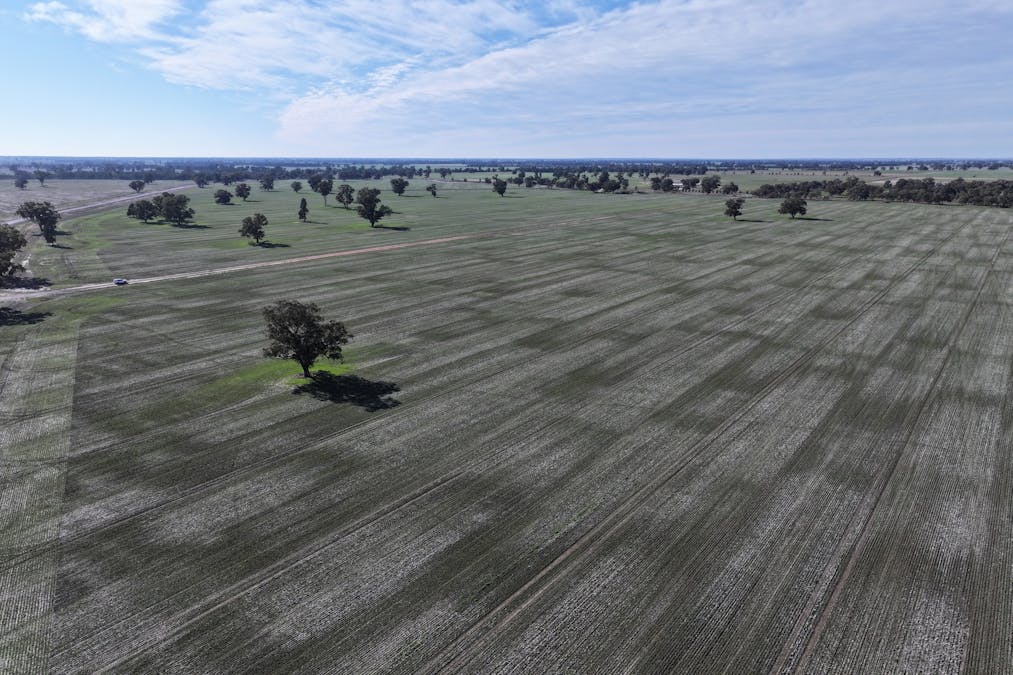 Berrigan Oaklands Road, Berrigan, NSW, 2712 - Image 16