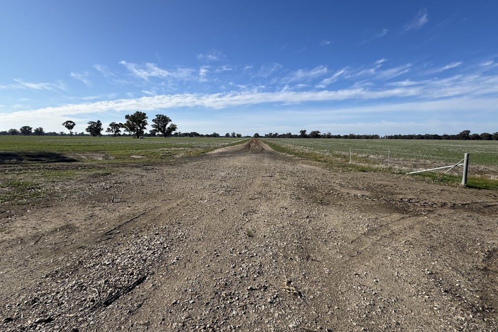 Berrigan Oaklands Road, Berrigan, NSW, 2712 - Image 17