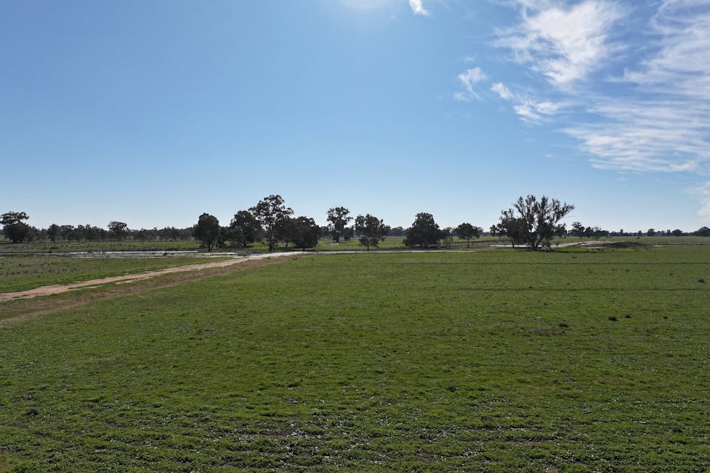 Berrigan Oaklands Road, Berrigan, NSW, 2712 - Image 18