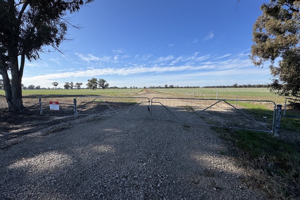 Berrigan Oaklands Road, Berrigan, NSW, 2712 - Image 5
